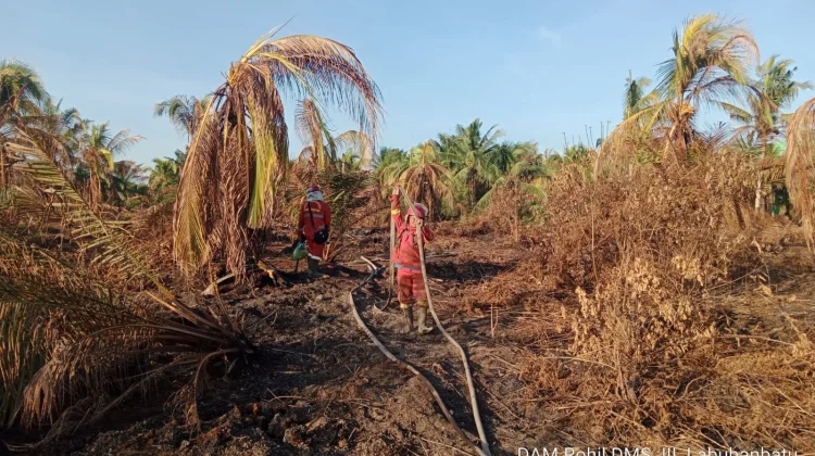Manggala Agni Fokus Padamkan Karhutla di Siak dan Pelalawan