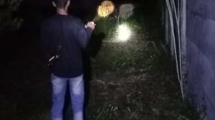 Rusak Kebun Warga, BBKSDA Riau Tangani Konflik Gajah Liar di Kampar
