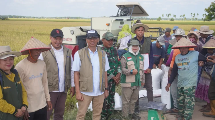BULOG Tembus 3 Juta Ton Serapan Gabah-Beras, Kanwil Riau dan Kepri Berkontribusi