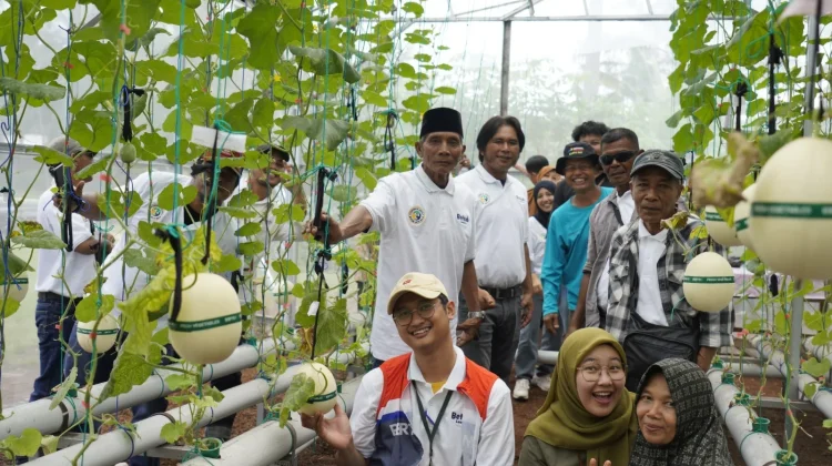 Kelompok Barter Jaya Studi dalam Memperkuat Kapasitas dan Kemandirian Pokmas