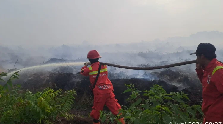 Karhutla di Pelalawan, Rupat dan Rohil Jadi Fokus Penanganan