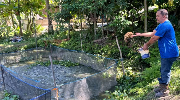 Warga Minas Rajut Kemandirian Ekonomi lewat Budidaya Lele