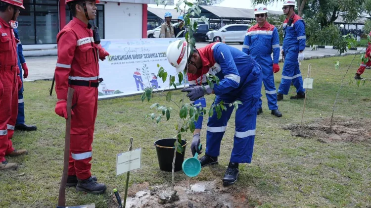 Pertamina Patra Niaga Kilang Dumai Lakukan Aksi Penghijauan di Dua Tempat