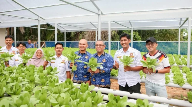 Sekdako Fahmi Ikuti Panen Sayuran Hidroponik Binaan Karang Taruna Kota Dumai