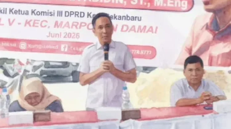DPRD Pekanbaru Soroti Kebijakan Pemindahan Pohon di Jalan Protokol
