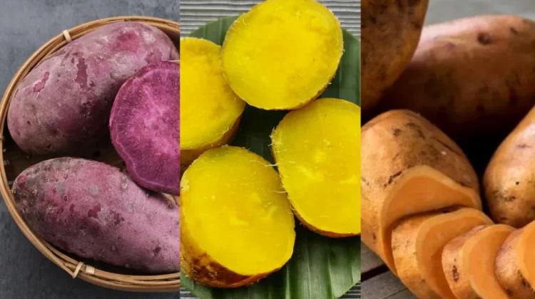 Manfaat Ubi Jalar bagi Kesehatan