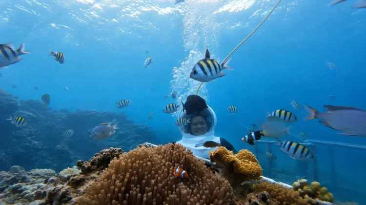 Menjelajahi Keindahan Bawah Laut Sambil Belajar Menjaga Ekosistem