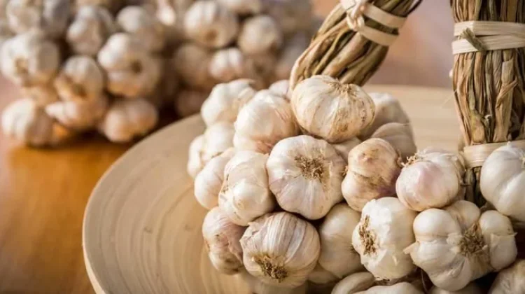 Mengenal Bawang Putih, Rempah Dapur yang Kaya Manfaat bagi Kesehatan