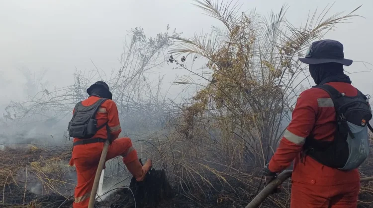 Manggala Agni Tambah Personel, Operasi Pemadaman Karhutla di Rengat