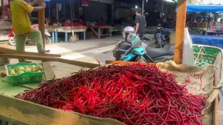 Harga Cabai dan Tomat Naik di Pekanbaru, Pedagang Sebut Kenaikan Bertahap