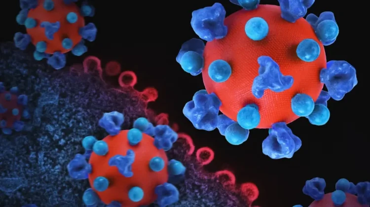 Penanganan HIV di Pekanbaru, Fokus Pengendalian dan Pendampingan