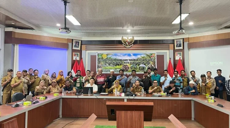 DKPP Dumai Gelar Sosialisasi Peremajaan Kelapa Sawit