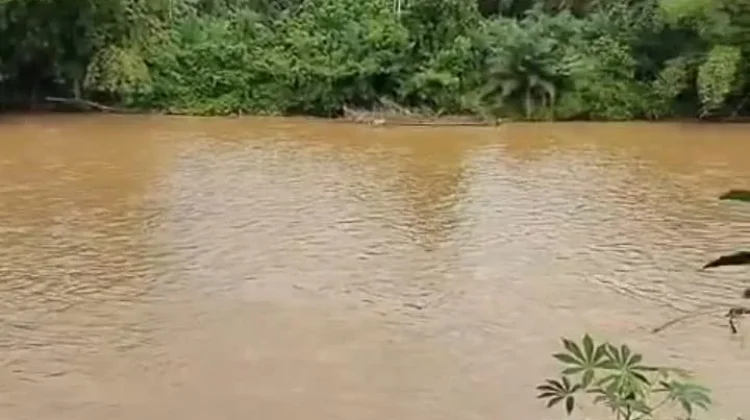 Sejumlah Sungai di Riau Tercemar: Ancam Kesehatan Warga dan Kerusakan Lingkungan