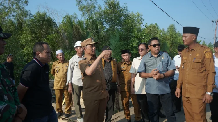 Bupati Indragiri Hilir Tinjau Korban Abrasi Kuala Enok