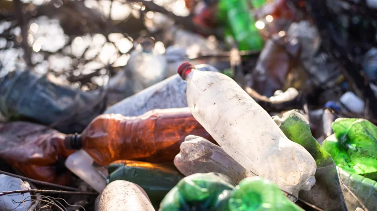 Fakta Mengejutkan tentang Limbah Plastik yang Perlu Anda Ketahui