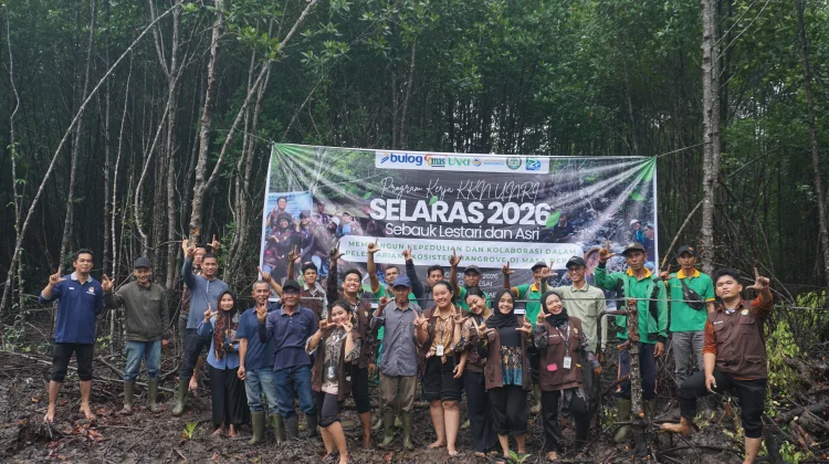 Kukerta UNRI Desa Sebauk Tanam 1.300 Mangrove