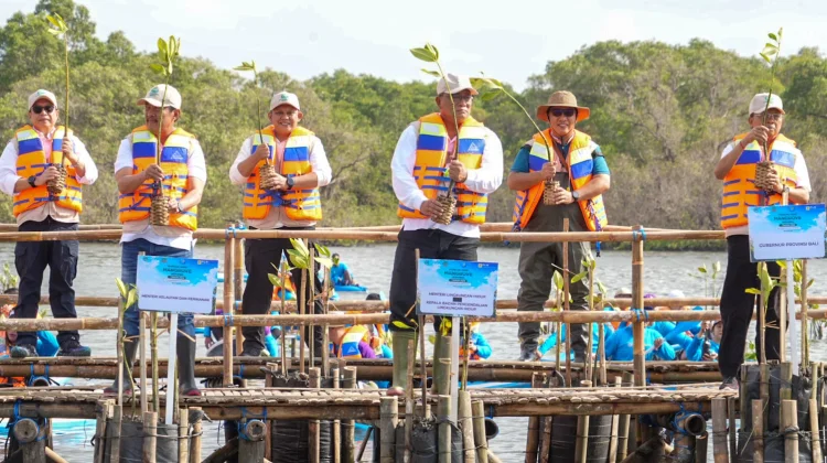 Hari Mangrove Sedunia 2026, Pemerintah Tanam Sejuta Bibit Mangrove