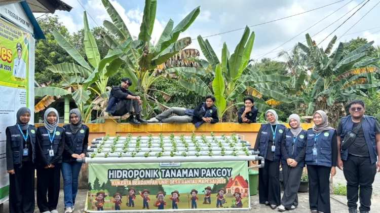 Kukerta UNRI Rantau Mapesai Kembangkan Hidroponik
