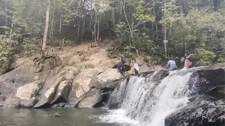 Air Terjun Nginio Kampar Keindahan Alam di tengah Hutan Alami