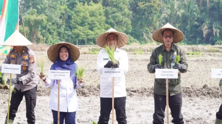 Pemkab Kampar Canangkan Gerakan Tanam Padi