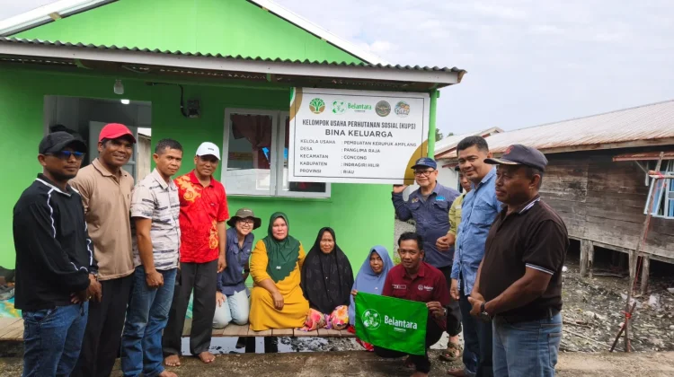 Belantara Dorong Perlindungan Mangrove demi Ketahanan Iklim Nasional