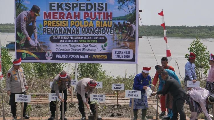 Mangrove Rusak, Polda Riau Bergerak Selamatkan Pesisir Sinaboi