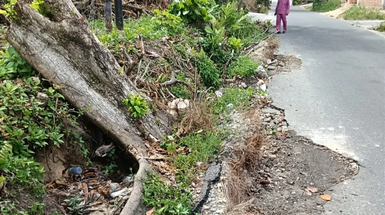 Camat Bukit Raya Tindaklanjuti Keluhan Jalan Rusak Sei Mintan