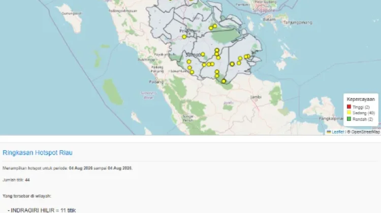 Hotspot di Sumatra Tembus 426 Titik, 44 Terdeteksi di Riau