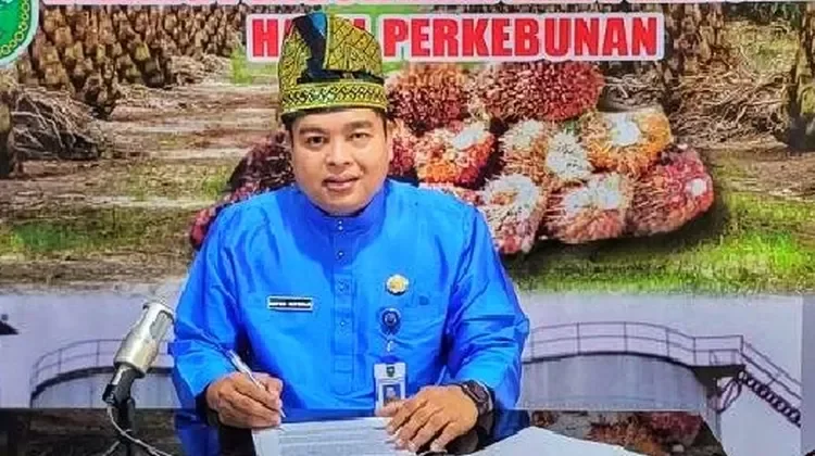 Harga TBS Kelapa Sawit Swadaya di Riau Hampir Rp 4.000 per kg