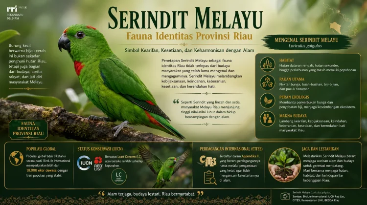 Serindit Melayu, Burung Ikonik yang Menjadi Fauna Identitas Riau