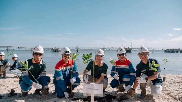 Perkokoh Benteng Pesisir Dumai, PHR Tanam 700 Mangrove Tangani Krisis Iklim