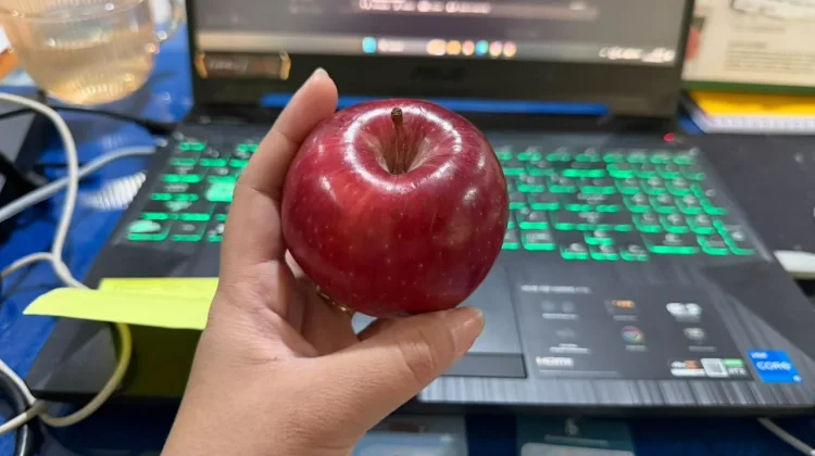Manfaat Makan Satu Buah Apel Harian