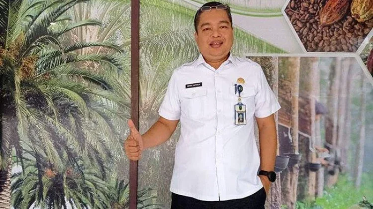 Menjelang HUT RI, Harga TBS di Riau Alami Penurunan