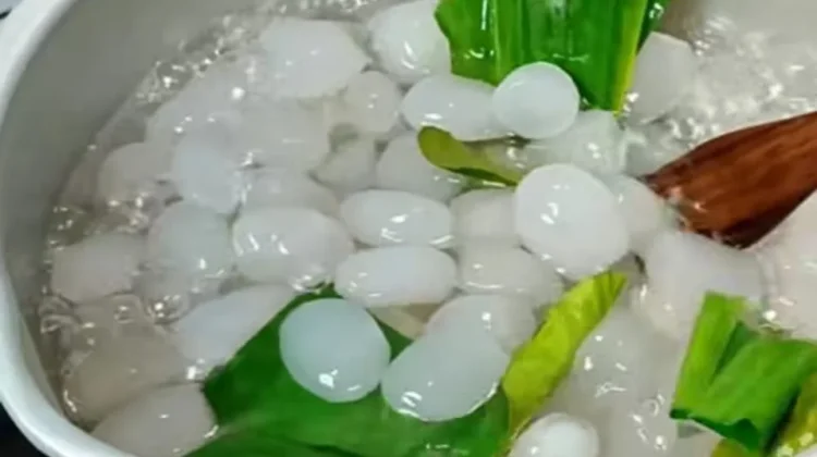 Kolang Kaling Sehat, Segar Menyehatkan Tubuh Setiap Hari