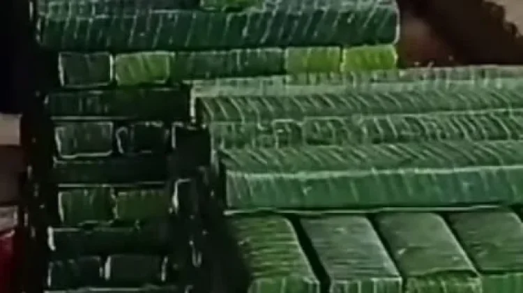 Tips Membuat Tempe Daun
