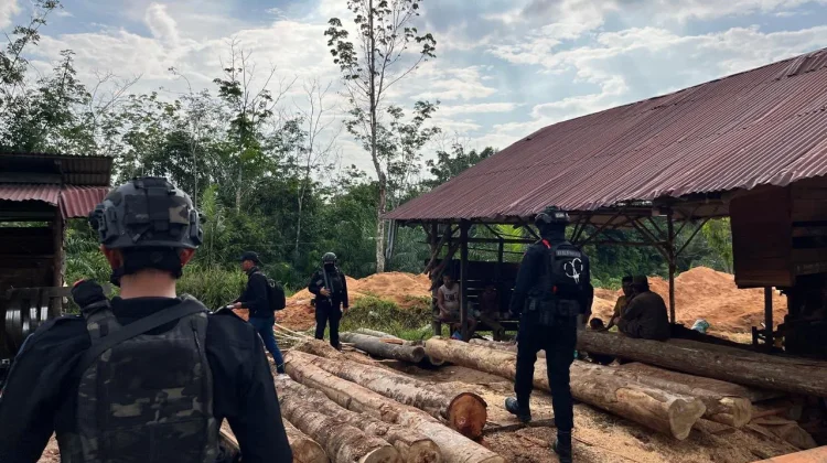 Polda Riau Tangkap Pemodal Kayu Ilegal, Aliran Dana Dibidik untuk TPPU