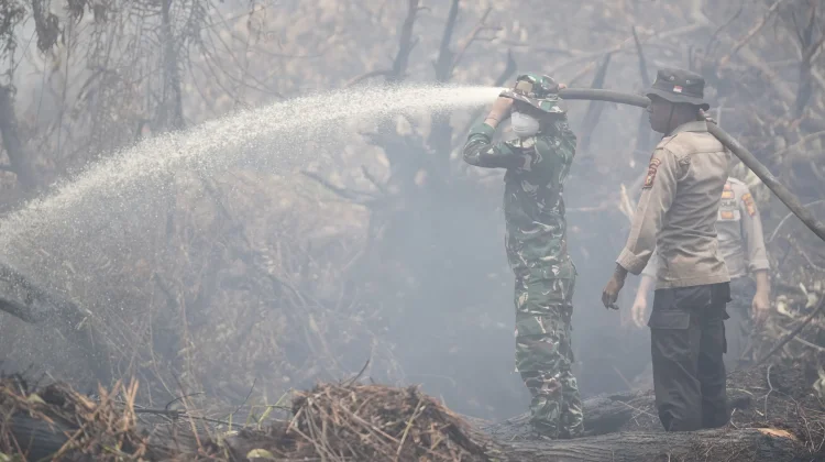 Kapolda Riau dan Pangdam Padamkan Api Karhutla di Kerumutan Pelalawan