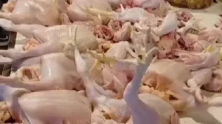 DPRD Pekanbaru Minta Pemerintah Cari Solusi Harga Ayam Naik