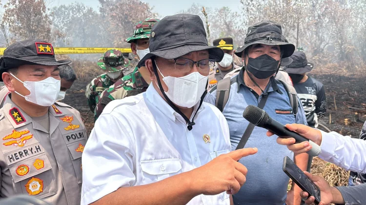 Menteri LH Ungkap 335 Konsesi Terindikasi Karhutla, Luas Terbakar 85 Ribu Hektare