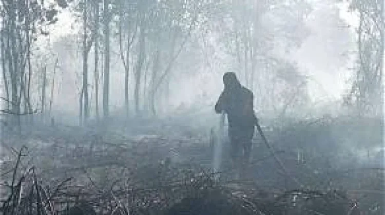 SF Hariyanto Minta Warga Waspadai Asap Karhutla dan Hindari Bakar Lahan