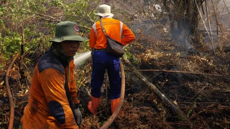 Karhutla Kerumutan Meluas, Ratusan Personel Dikerahkan untuk Jinakkan Api