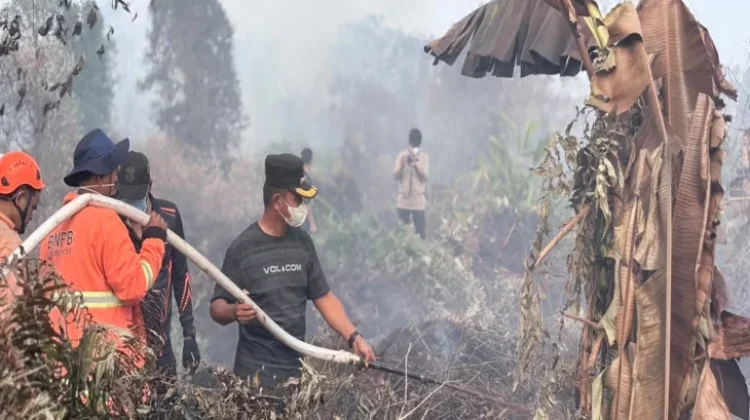 Bupati Kampar Imbau Warga Jangan Bakar Lahan