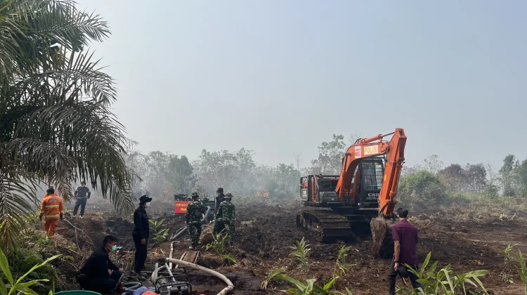 Kedatangan Presiden Prabowo, Petugas Buka Akses di Lokasi Karhutla Rimbo Panjang