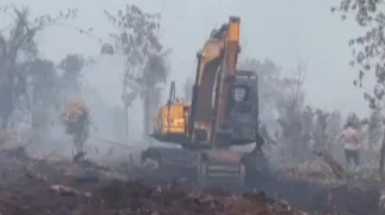 Pemprov Riau Perkuat Satgas Karhutla Hadapi Ancaman Kebakaran Lahan Menyebar