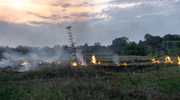 Dampak Buruk Asap Kebakaran Hutan dan Lahan
