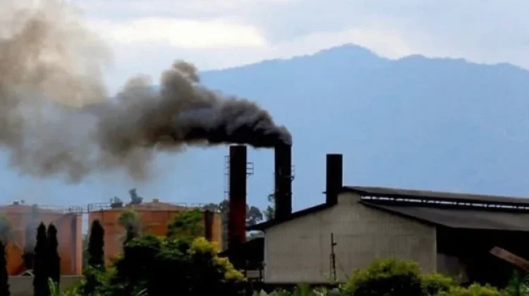 Kabut Asap Karhutla Mengancam, Bupati Siak Minta PKS Setop Bakar Janjang Kosong