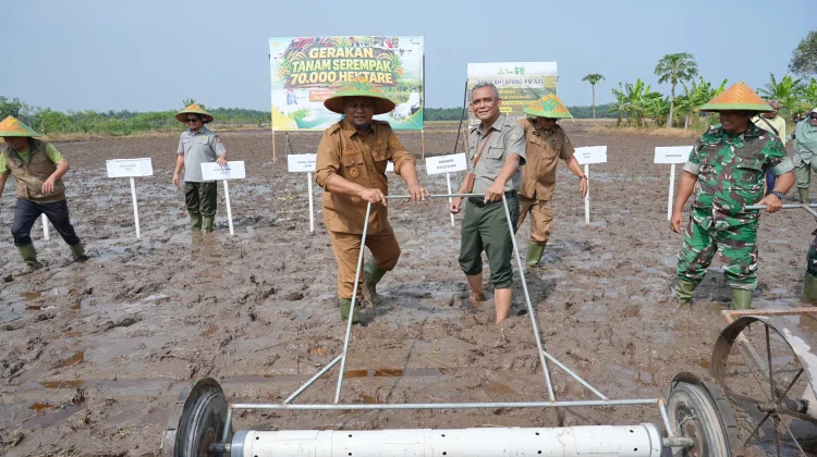 Kabupaten Siak Terima Program Penanaman 70.000 Hektare