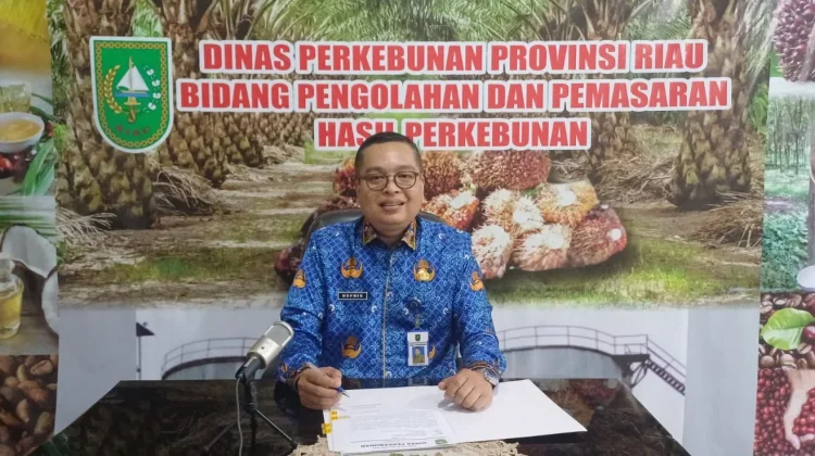 Harga TBS Sawit Mitra Swadaya di Riau Terus Naik