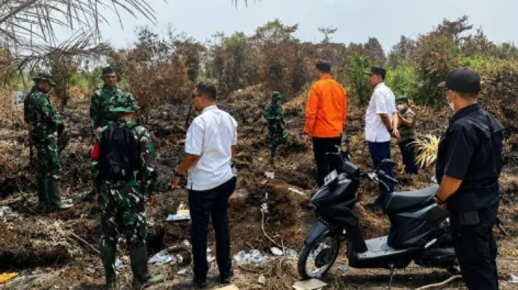 Hujan Redakan Karhutla, BPBD Pekanbaru Tetap Waspadai Titik Rawan