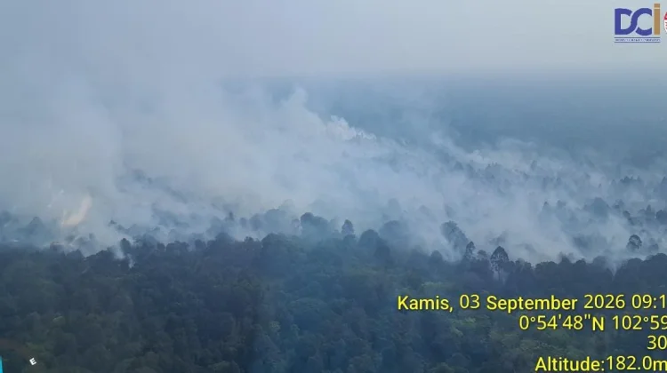 Patroli Udara, BPBD Riau Temukan Satu Titik Api di Meranti